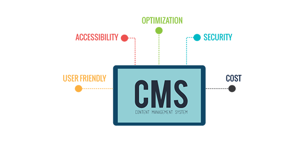 CMS web design in mumbai